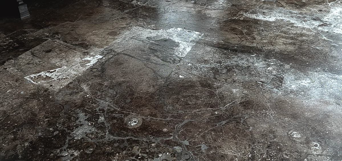 concrete polishing vs staining