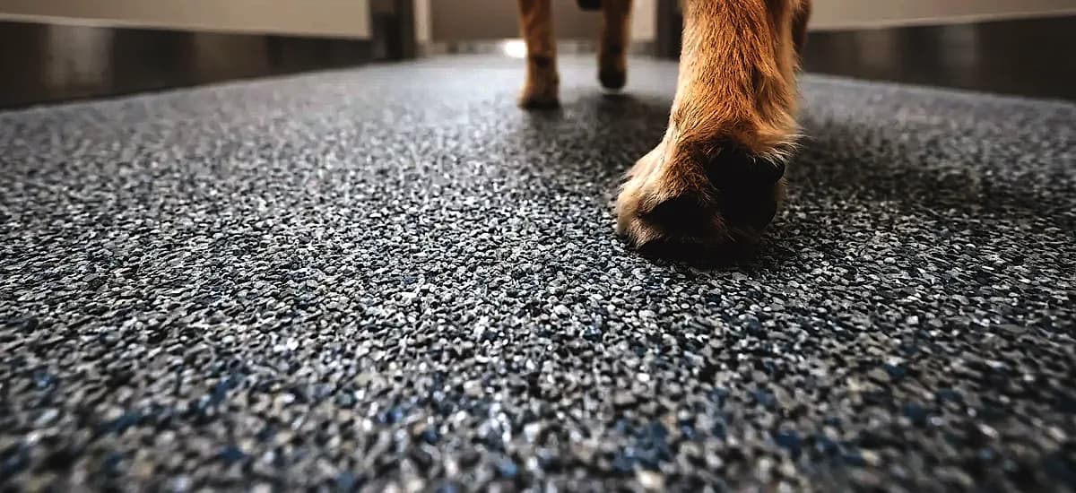 Close-up of textured epoxy flooring showing the anti-slip aggregate surface designed for animal traction