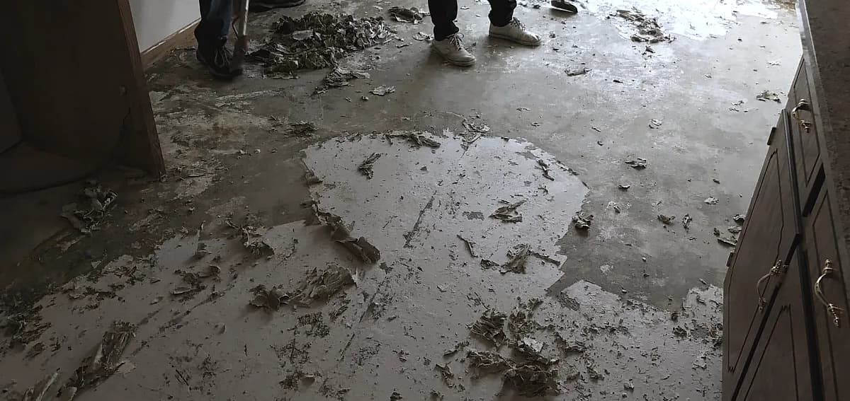 how do you remove adhesive from concrete floor