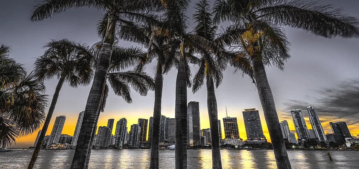 Miami Salt Air