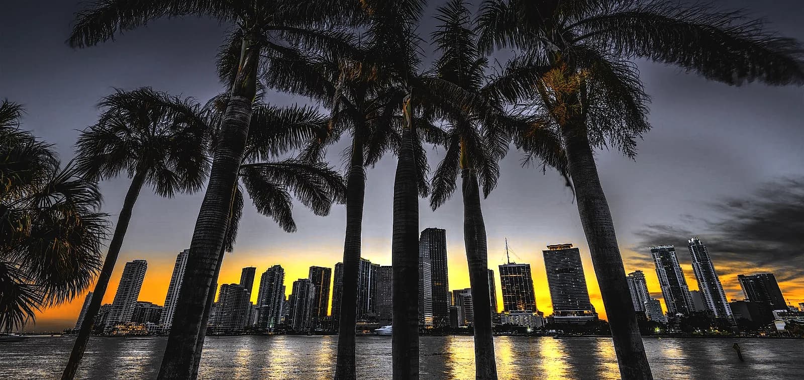 Miami Salt Air