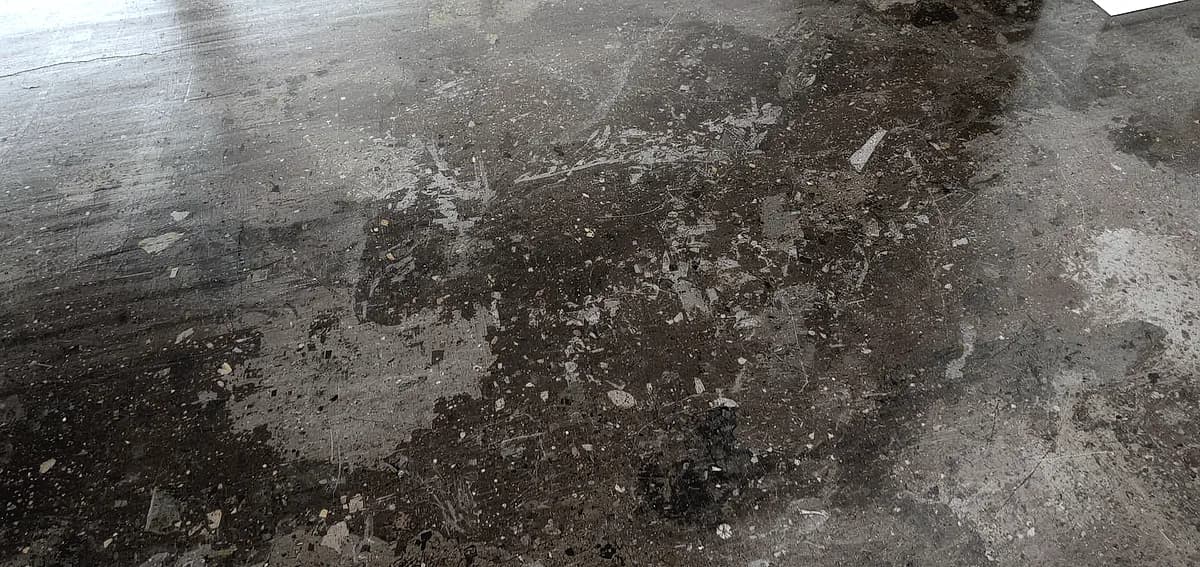 polished concrete color options