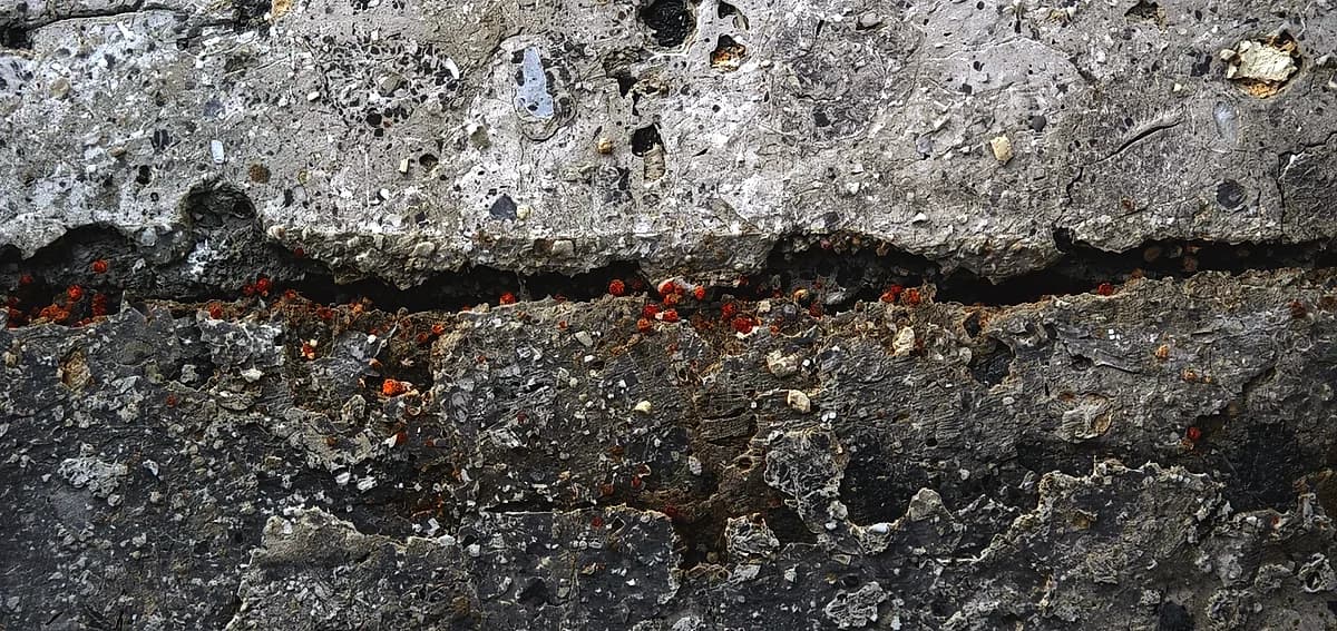 Polished Concrete Develops Traffic Wear