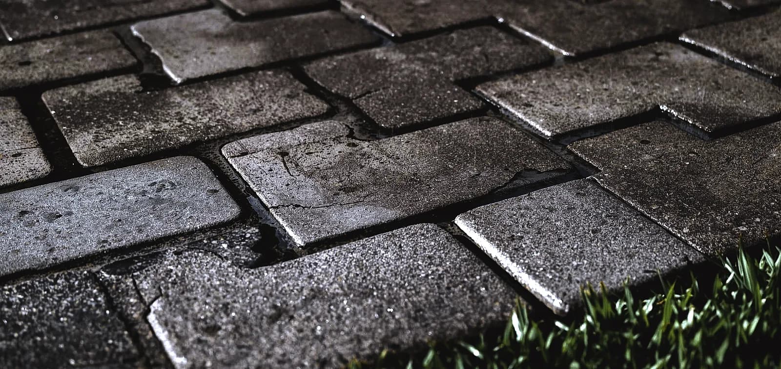 stamped concrete vs pavers South Florida