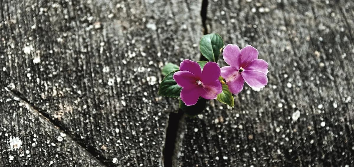 Did you know 83% of coating failures stem from overlooked surface flaws?