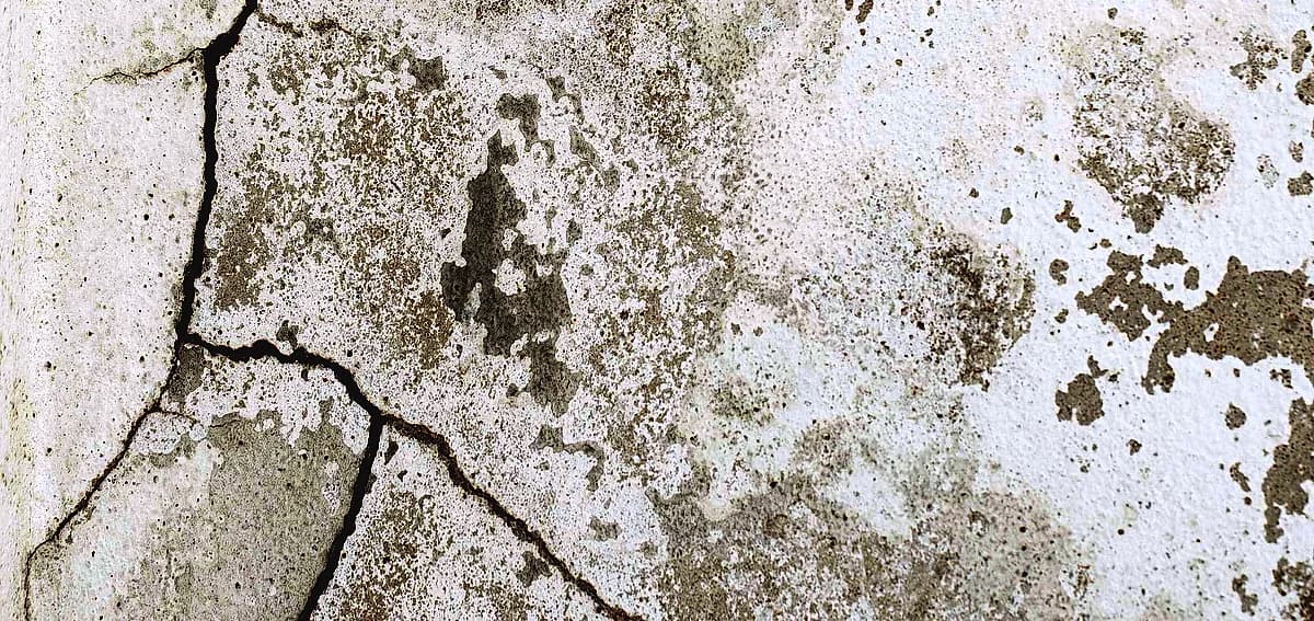 Hairline cracks in polished concrete
