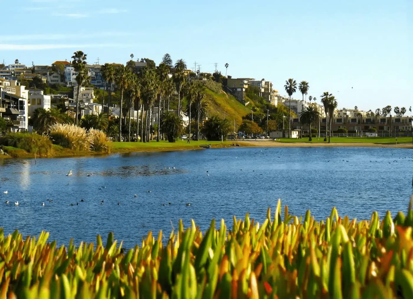Beautiful park in Los Angeles