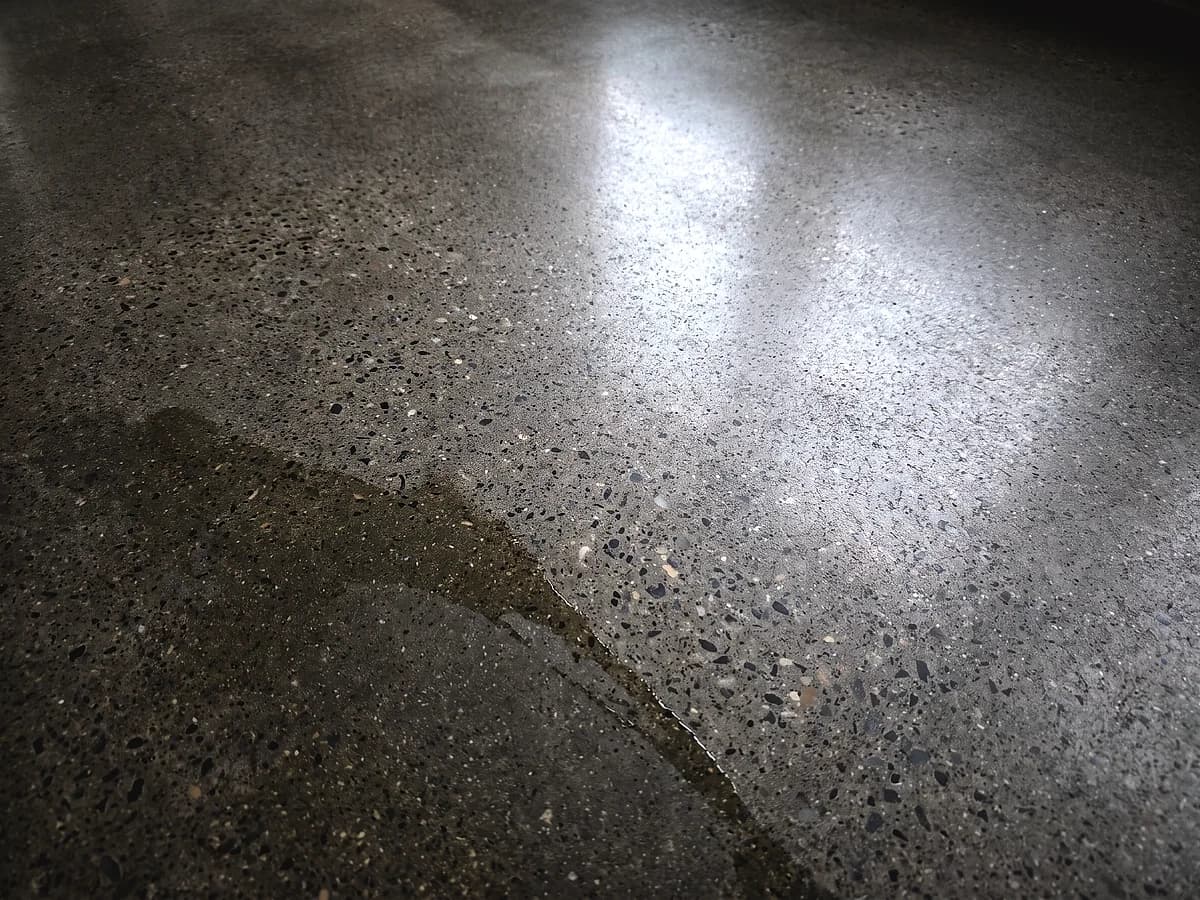 A honed concrete floor stopped at a matte finish, aggregate showing as an even speckle with no gloss and a thin film of water over part of it.