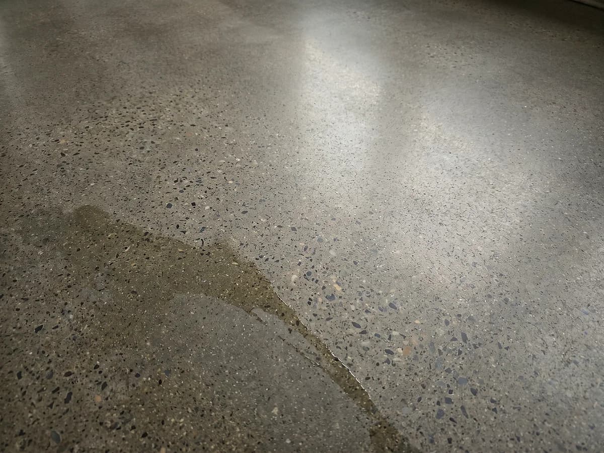 A honed concrete floor stopped at a matte finish, aggregate showing as an even speckle with no gloss and a thin film of water over part of it.