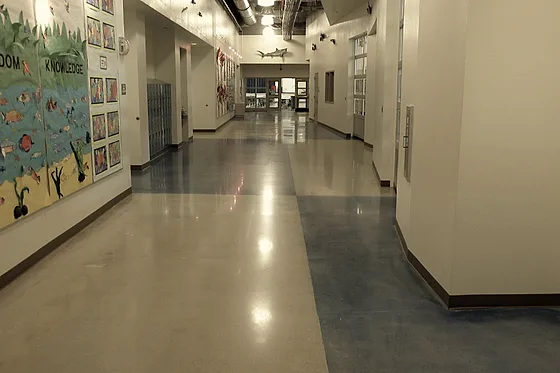 A school corridor over a warm polished floor with a darker dyed band running its length past classroom displays